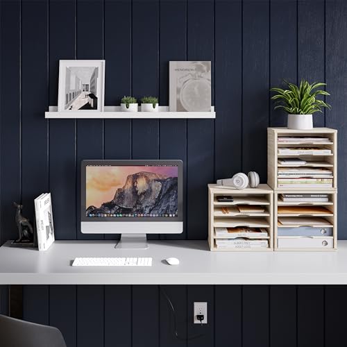 Ballucci 5-Tier File Organizer & Paper Sorter for Office
