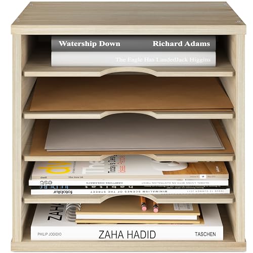 Ballucci 5-Tier File Organizer & Paper Sorter for Office