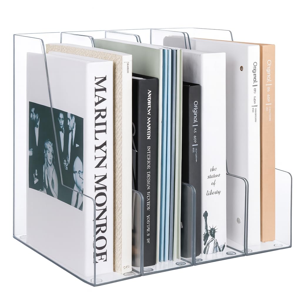 Vertical Magazine File Holder & Desktop File Organizer