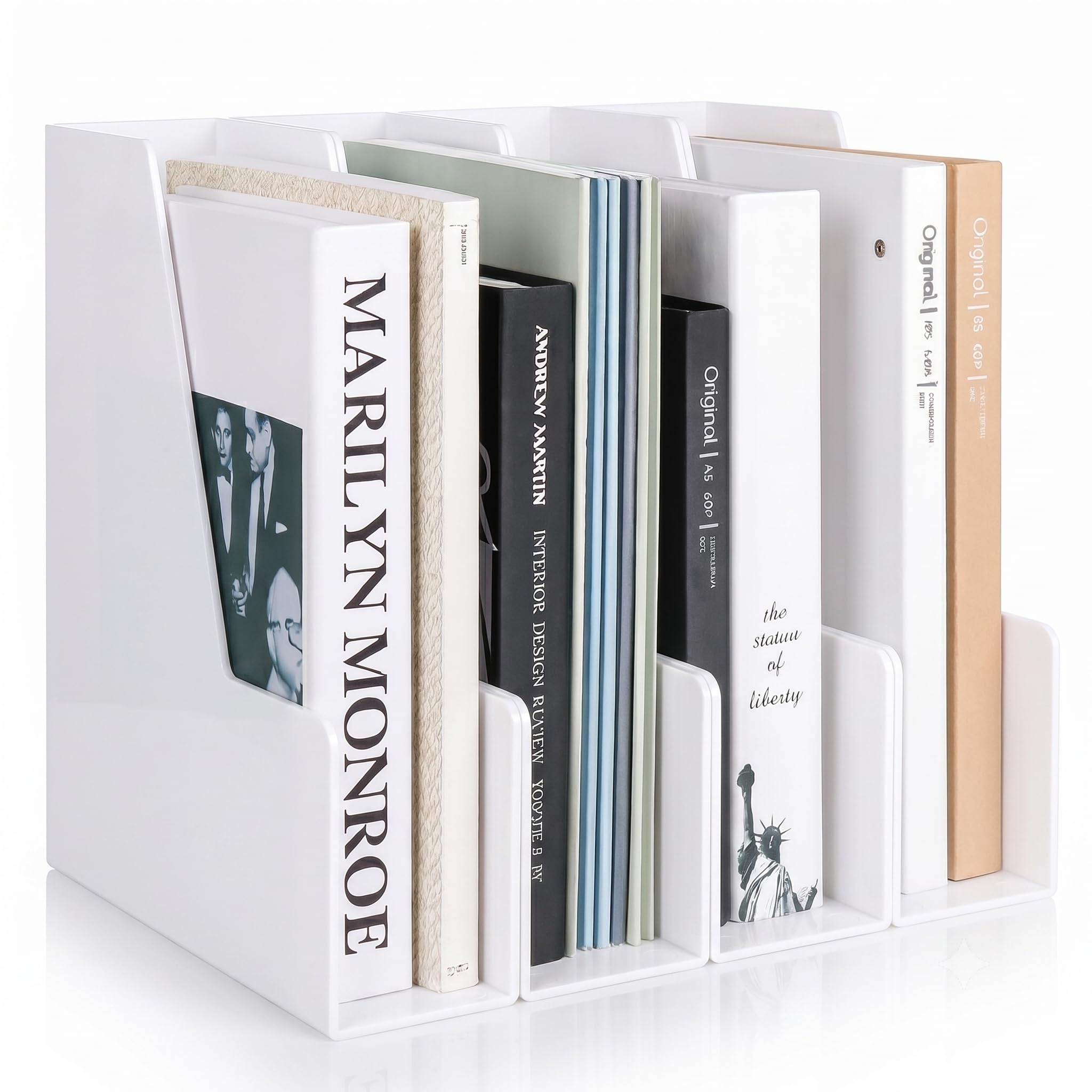Vertical Magazine File Holder & Desktop File Organizer