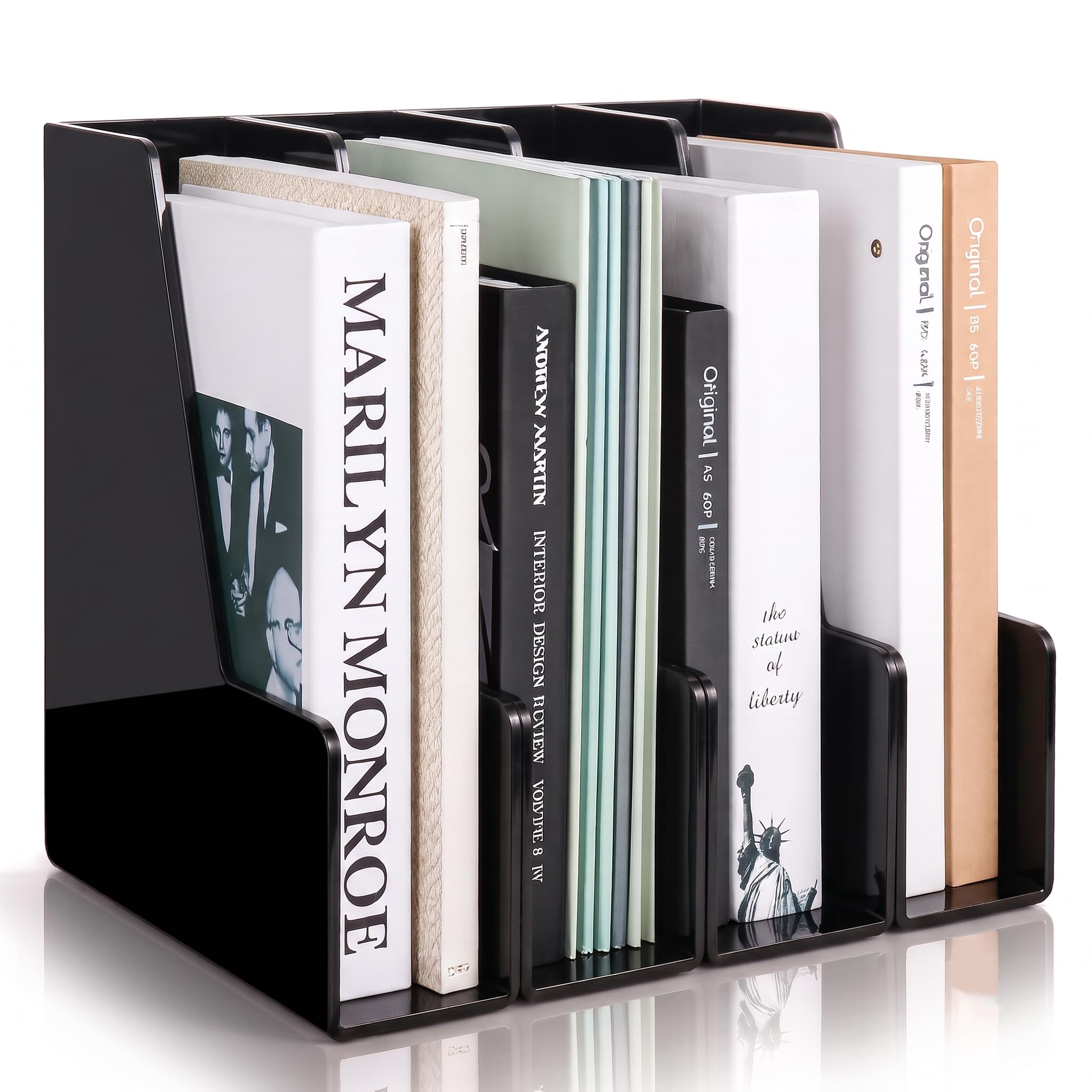 Vertical Magazine File Holder & Desktop File Organizer